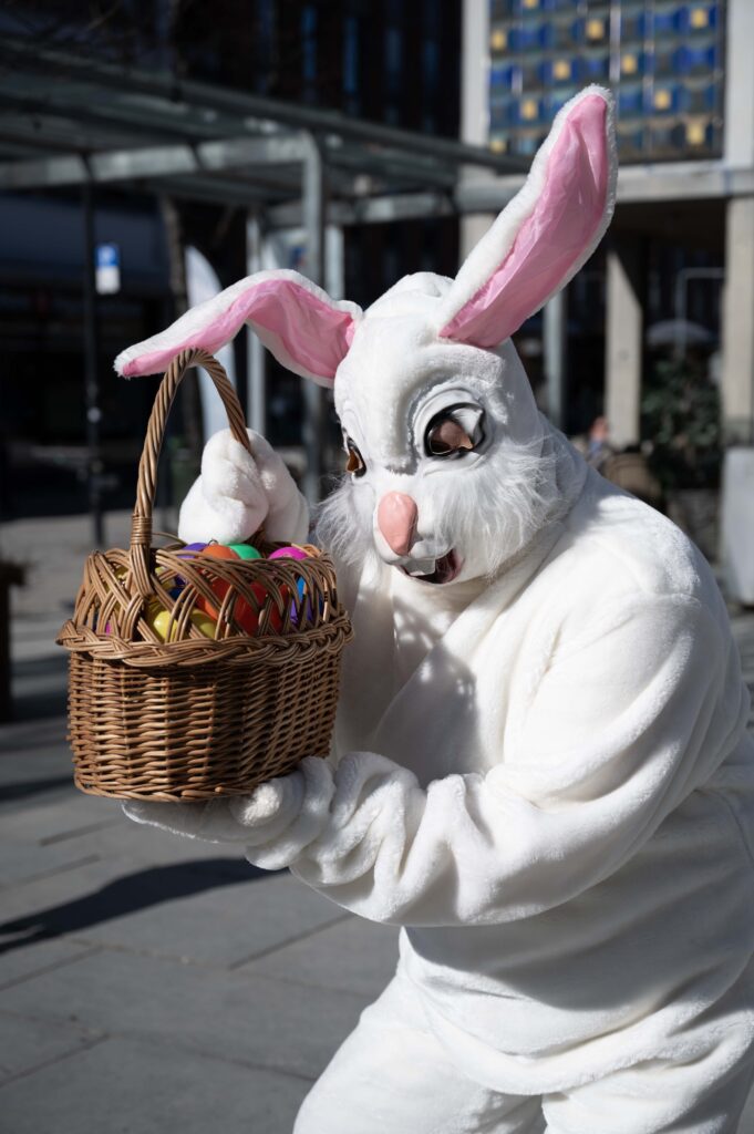 Hare 4